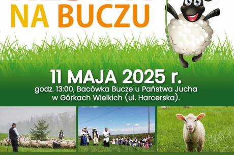 Redyk na Buczu